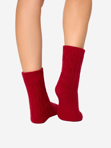 Nur Die Sokken ' Flausch Socken ' in Rood