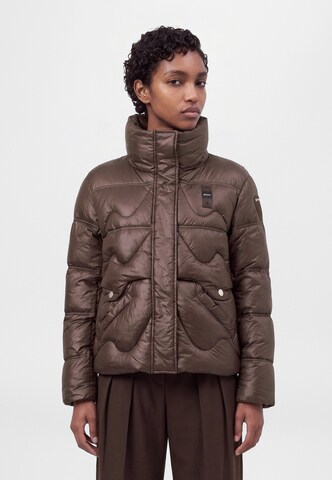 Blauer.USA Зимняя куртка в Коричневый: спереди