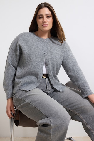 Trendyol Curve - Cárdigan en gris: frente