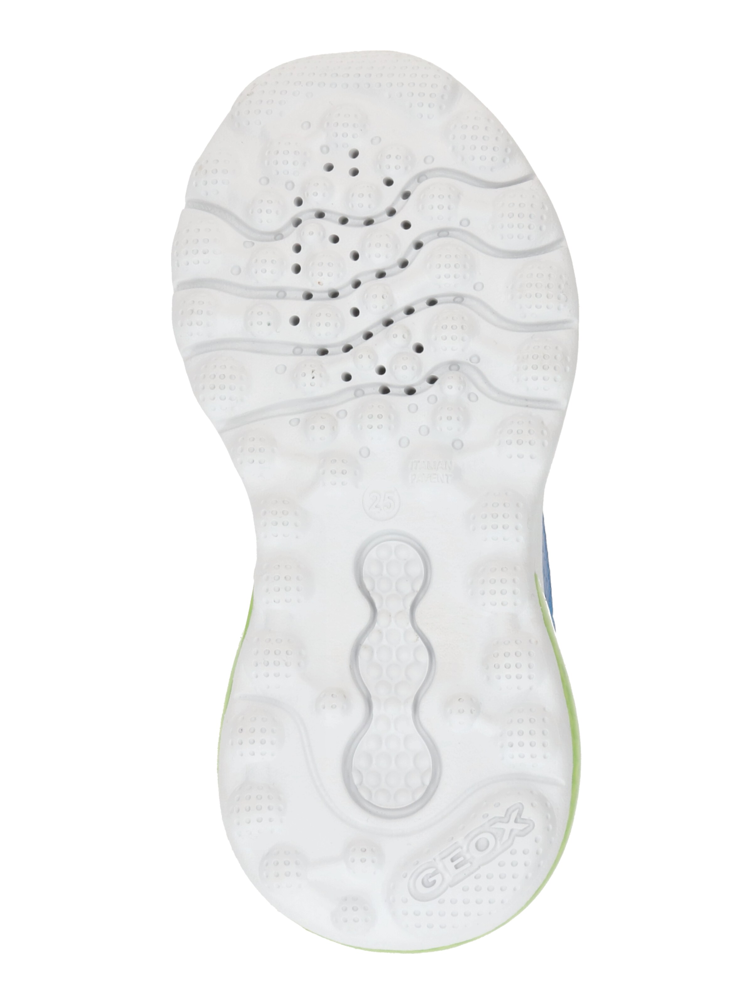 GEOX Sneaker 'Illuminus' in Blau