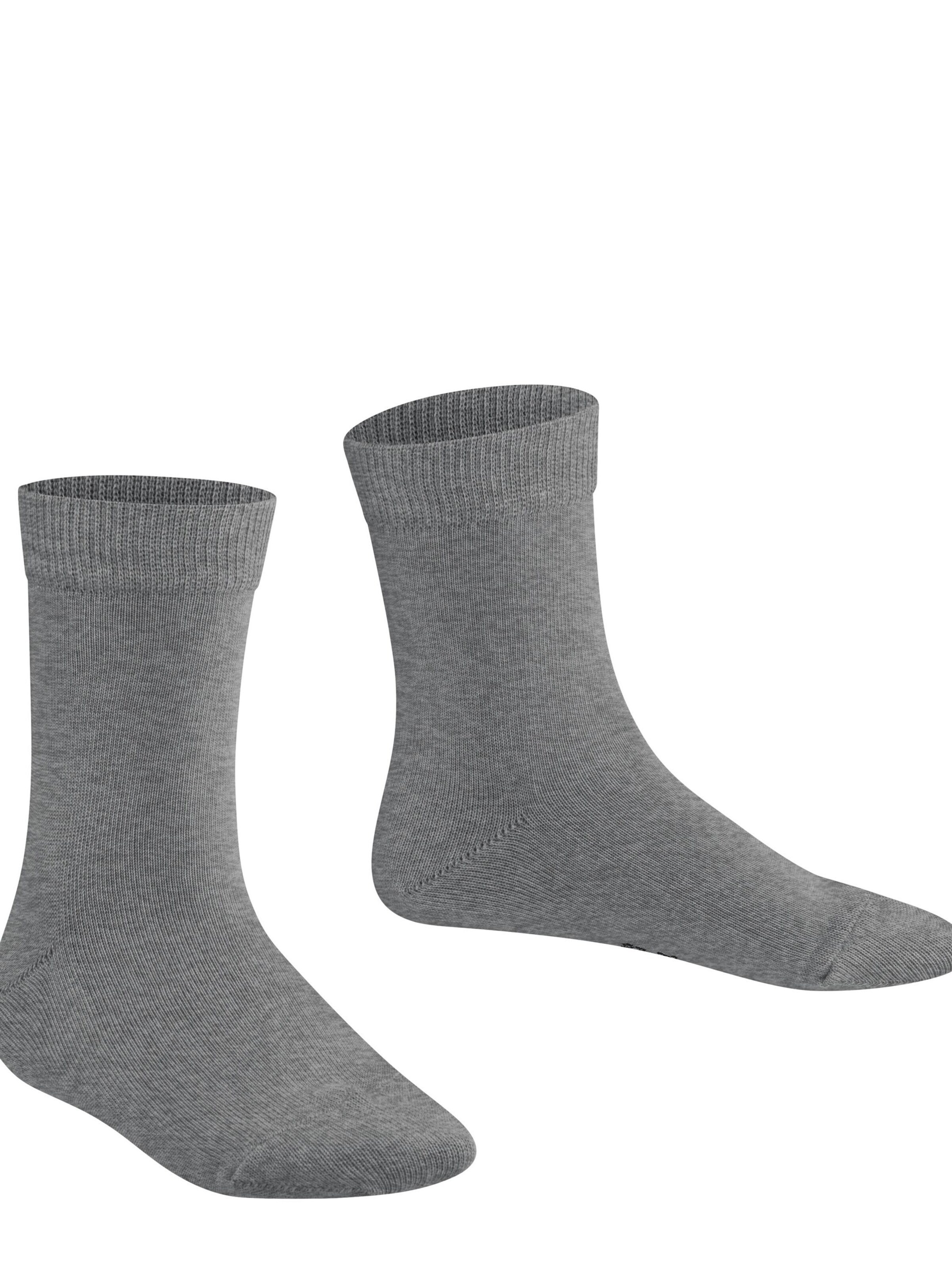 FALKE Socks 'Family' in Grey: front