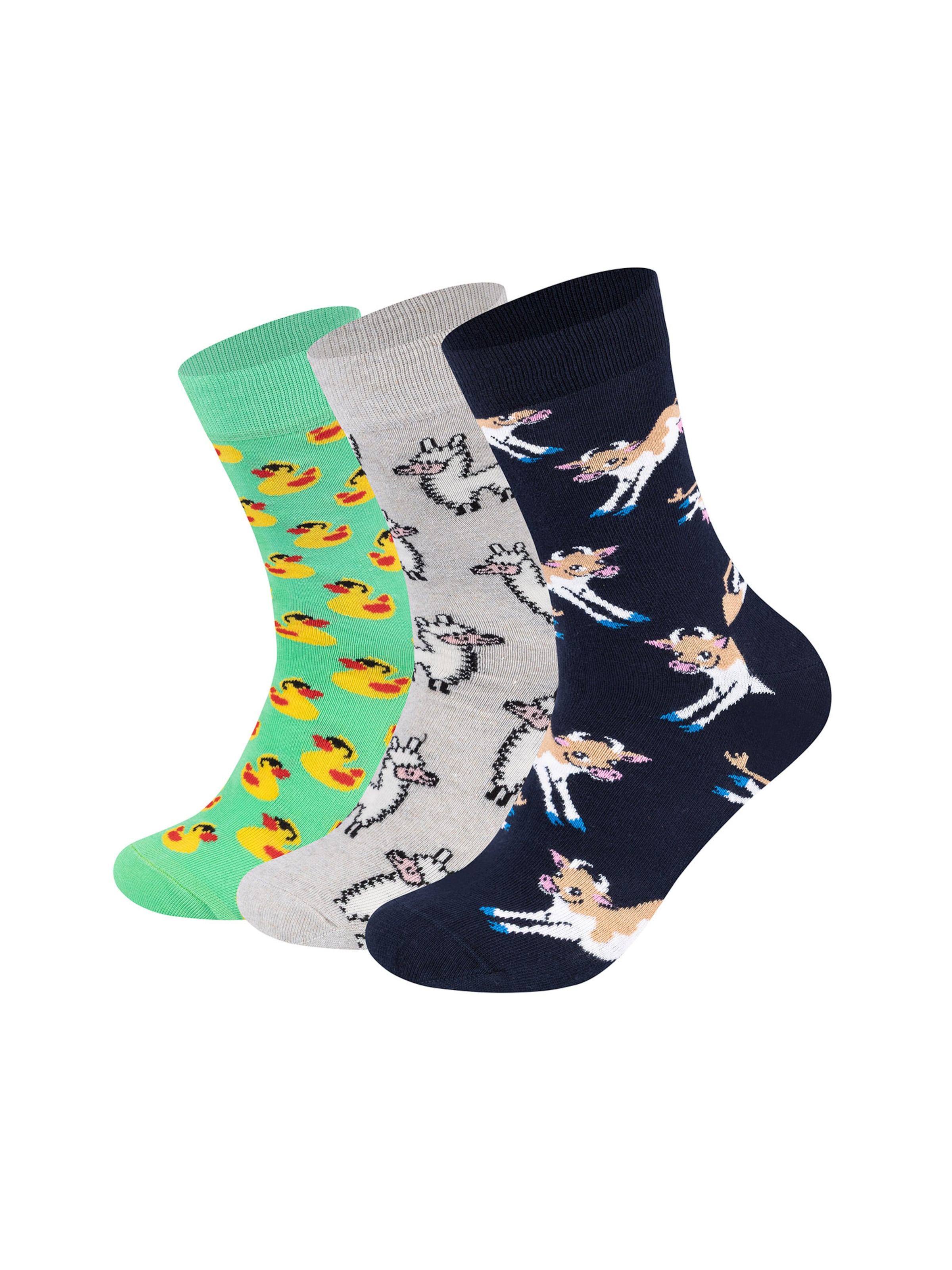Happy Socks Sokker 'Animals' i blandingsfarvet: forside
