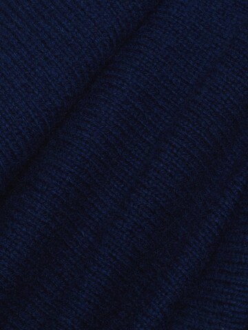 Brookshire Trui in Blauw