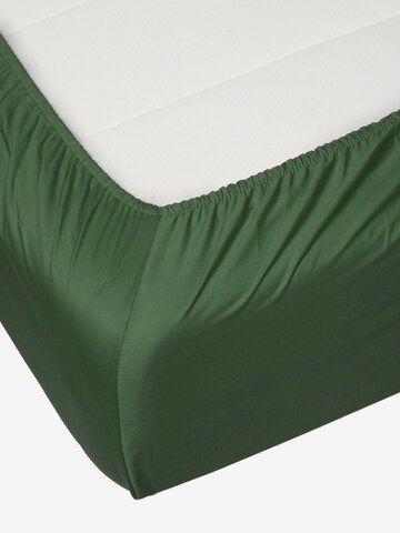 ESSENZA Bed Sheet in Green