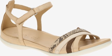 ECCO Sandale 'Ecco Flash Sandale braun beige Kreuzriemen 244243' in Braun: Vorderseite