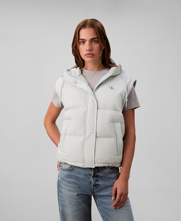 Veste mi-saison Calvin Klein Jeans en vert