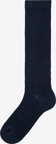 H.I.S Socks in Blue: front