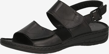 CAPRICE Sandals in Black: front