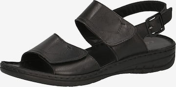 CAPRICE Sandals in Black: front