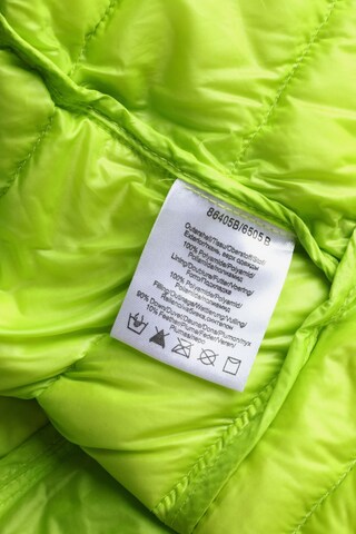 Beaumont Amsterdam Jacket & Coat in XL in Green