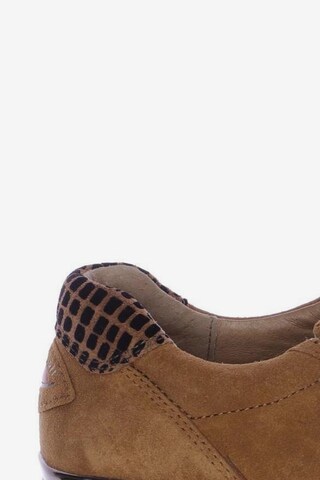 GABOR Sneakers & Trainers in 39 in Brown