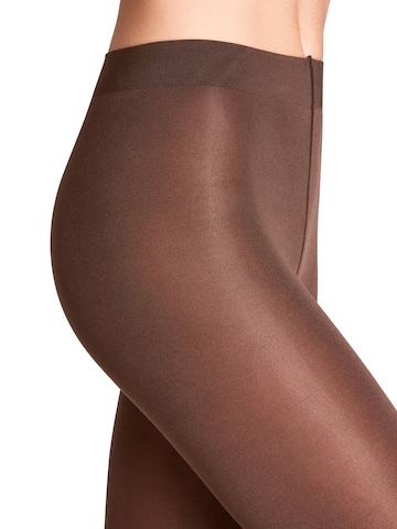 FALKE Strumpfhose 'Seidenglatt'‌‌‌‌‌‌‌‌‌ in Braun