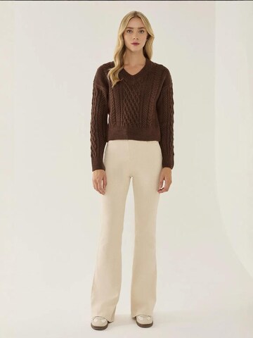 Hiccup - Pullover em castanho