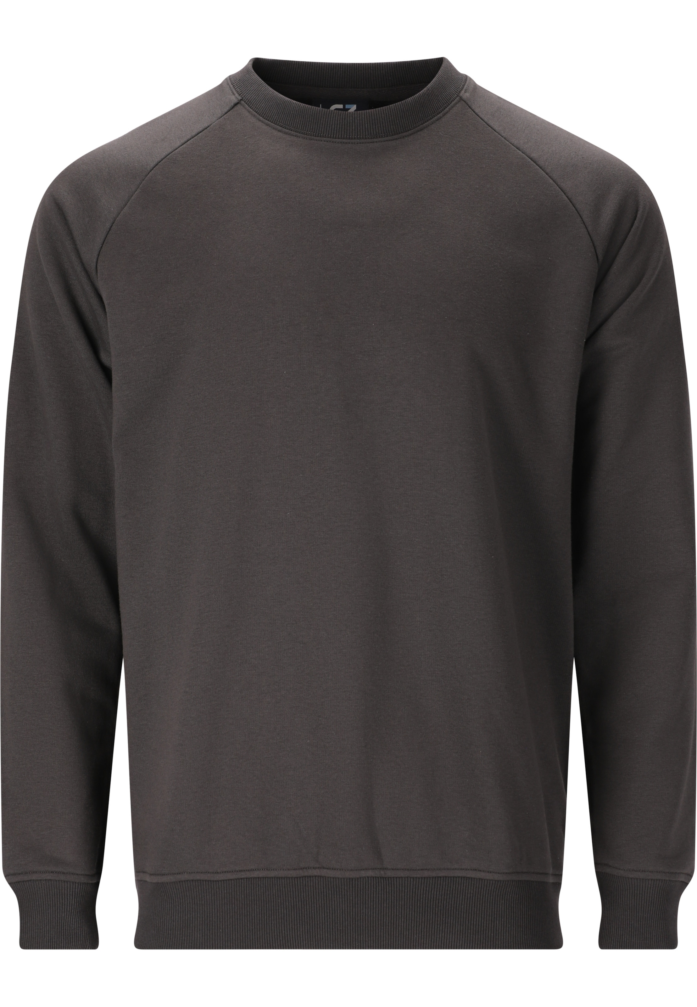 Cruz Sweatshirt 'Rusvil' in Grey: front