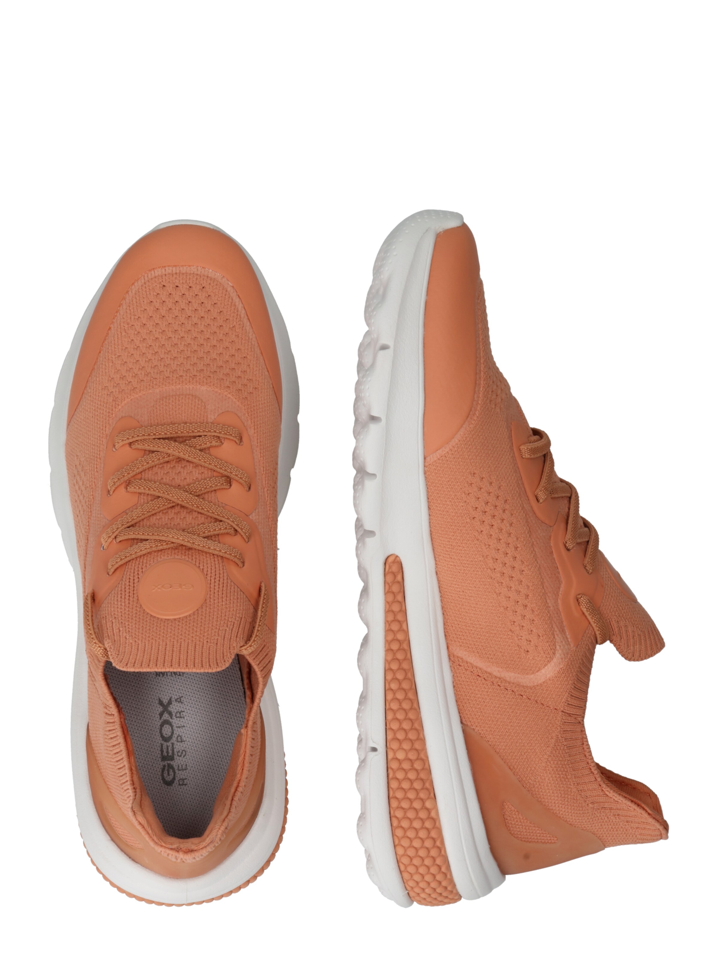 GEOX Sneaker in Orange