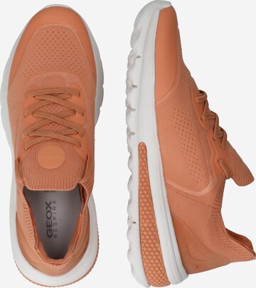 GEOX Låg sneaker i orange