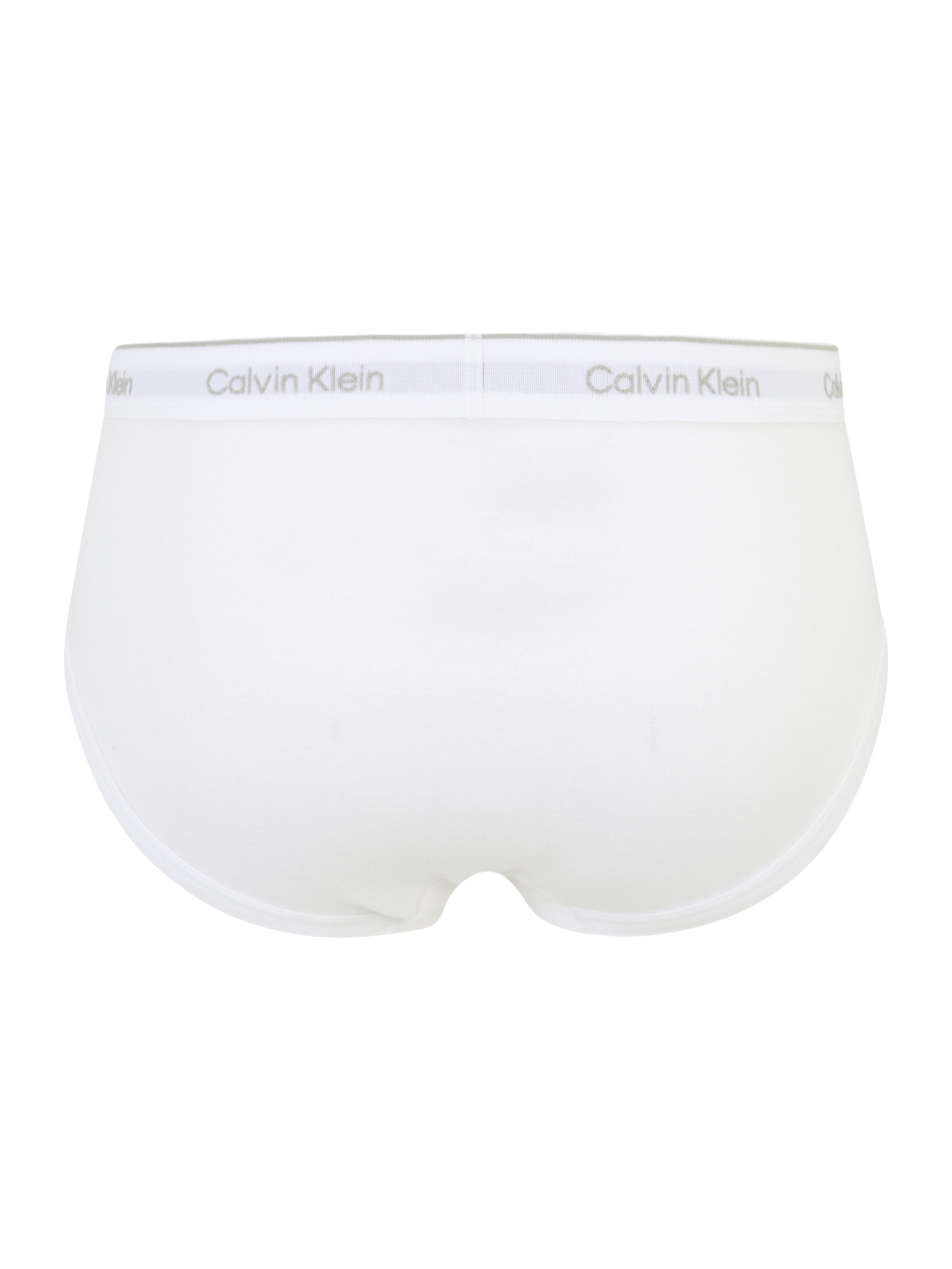 Calvin Klein Underwear Slip in Grau