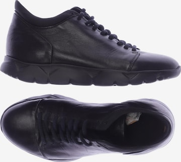 ROYAL REPUBLIQ Sneakers & Trainers in 37 in Black: front