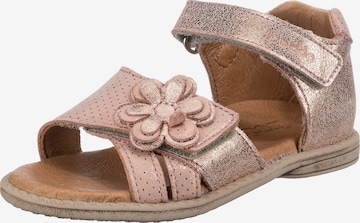 Froddo Sandals 'CARLINA' in Pink: front