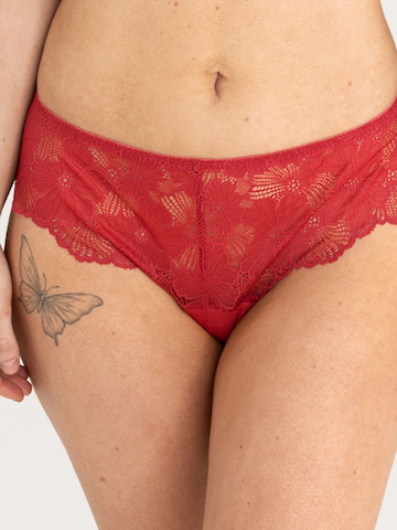 Slip Erlich Textil en rouge