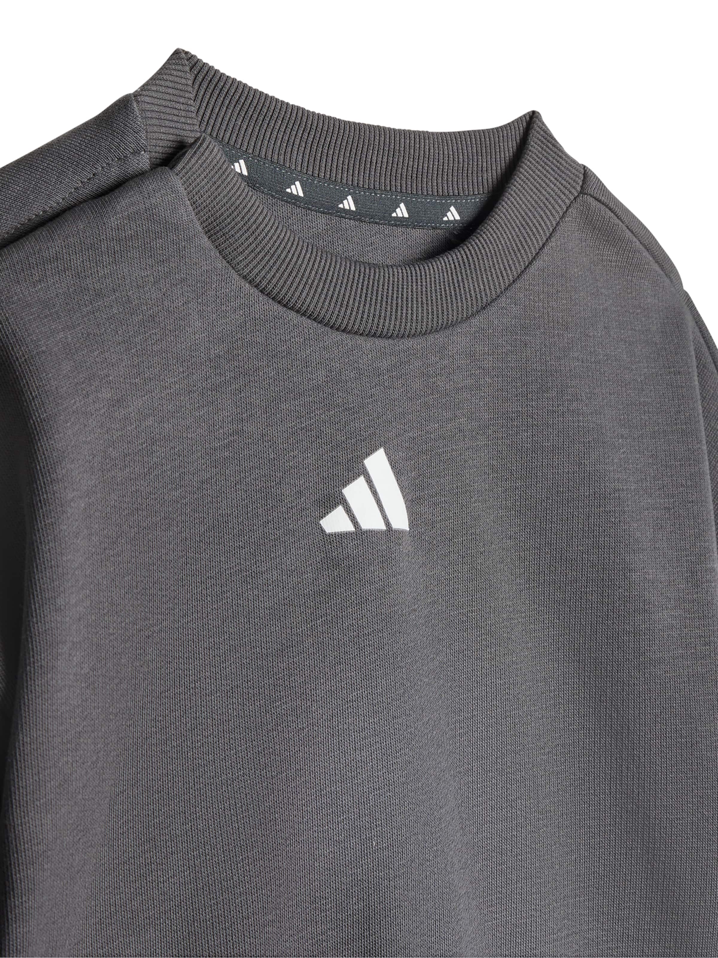 ADIDAS SPORTSWEAR Träningsdräkt i grå