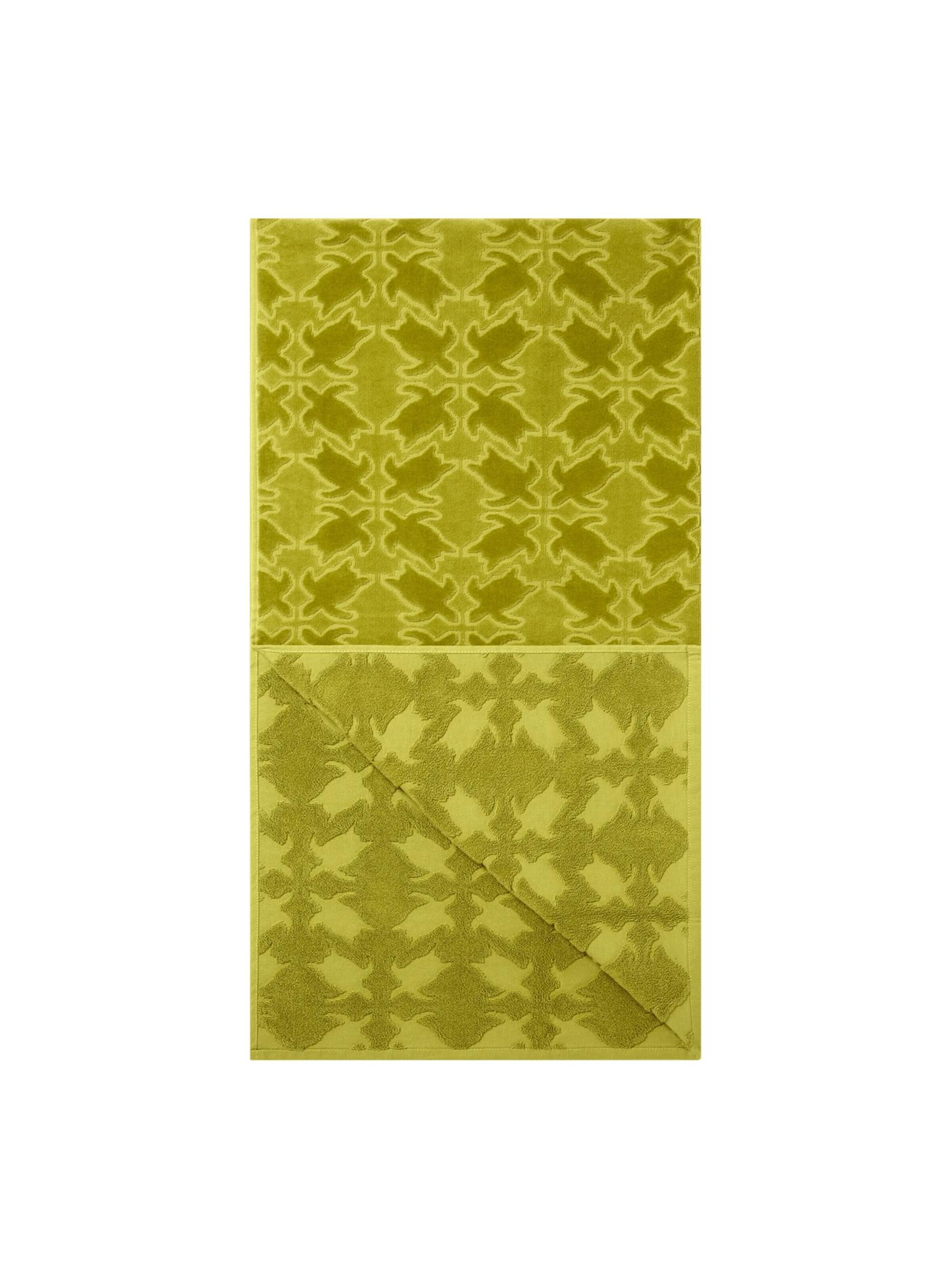 Vilebrequin Handdoek in Groen