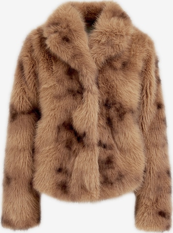 ruda WE Fashion Žieminė striukė: priekis