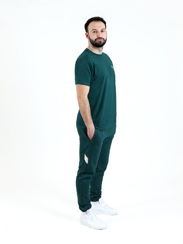 SPITZBUB Regular Pants 'Ludis' in Green