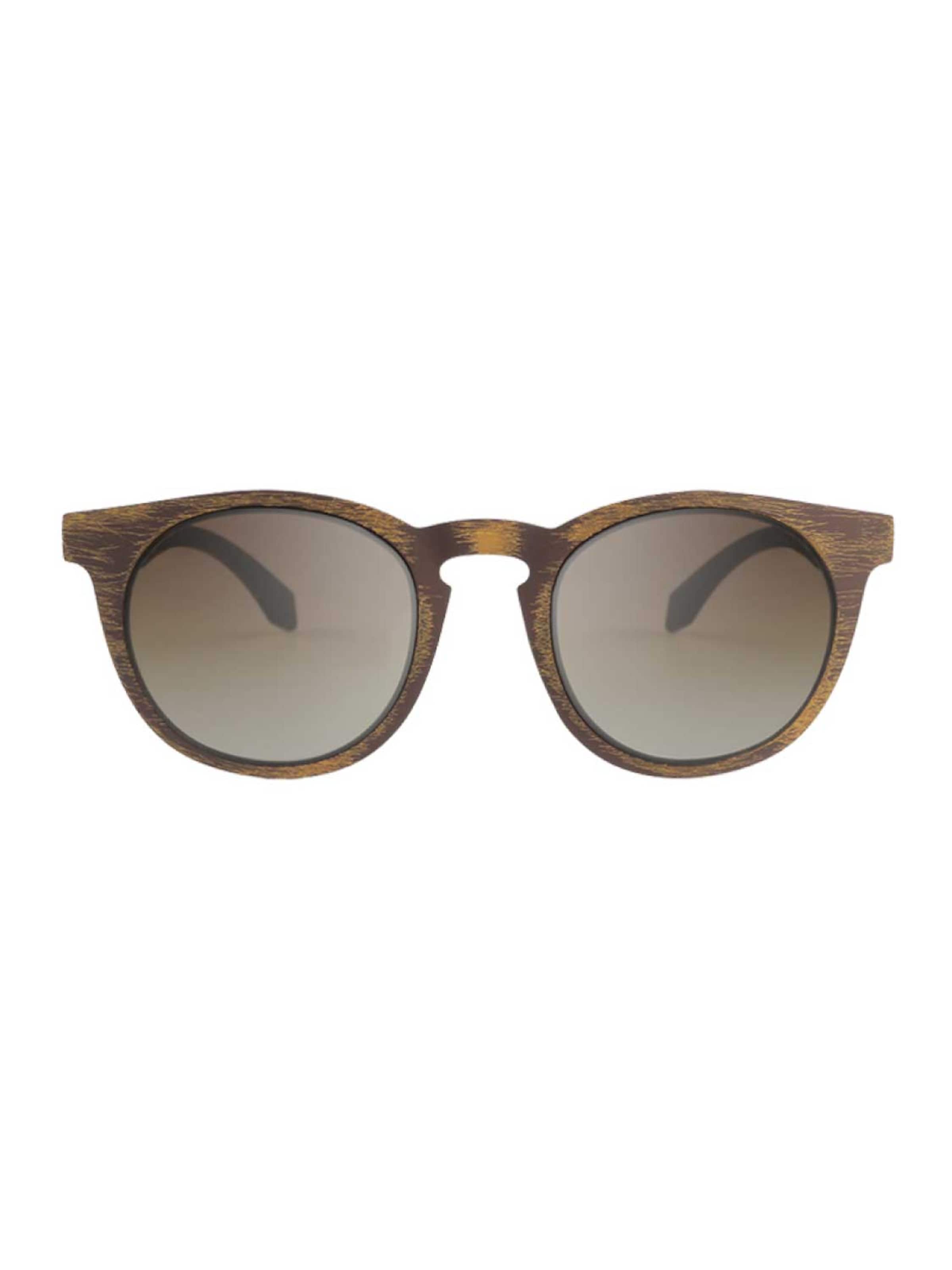 Alsteca Sunglasses 'Wynwood C60' in Brown: front