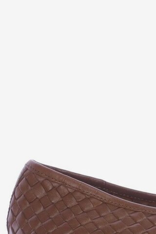 GEOX Flats & Loafers in 37 in Brown