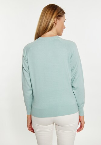 Pull-over usha BLUE LABEL en vert