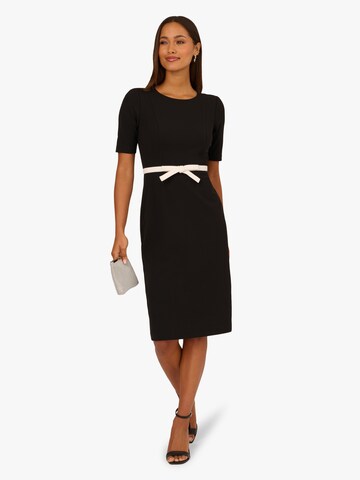 Adrianna Papell Jurk in Zwart