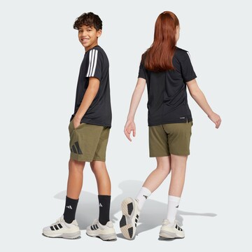 ADIDAS SPORTSWEAR Regular Trousers 'Essentials' in Green