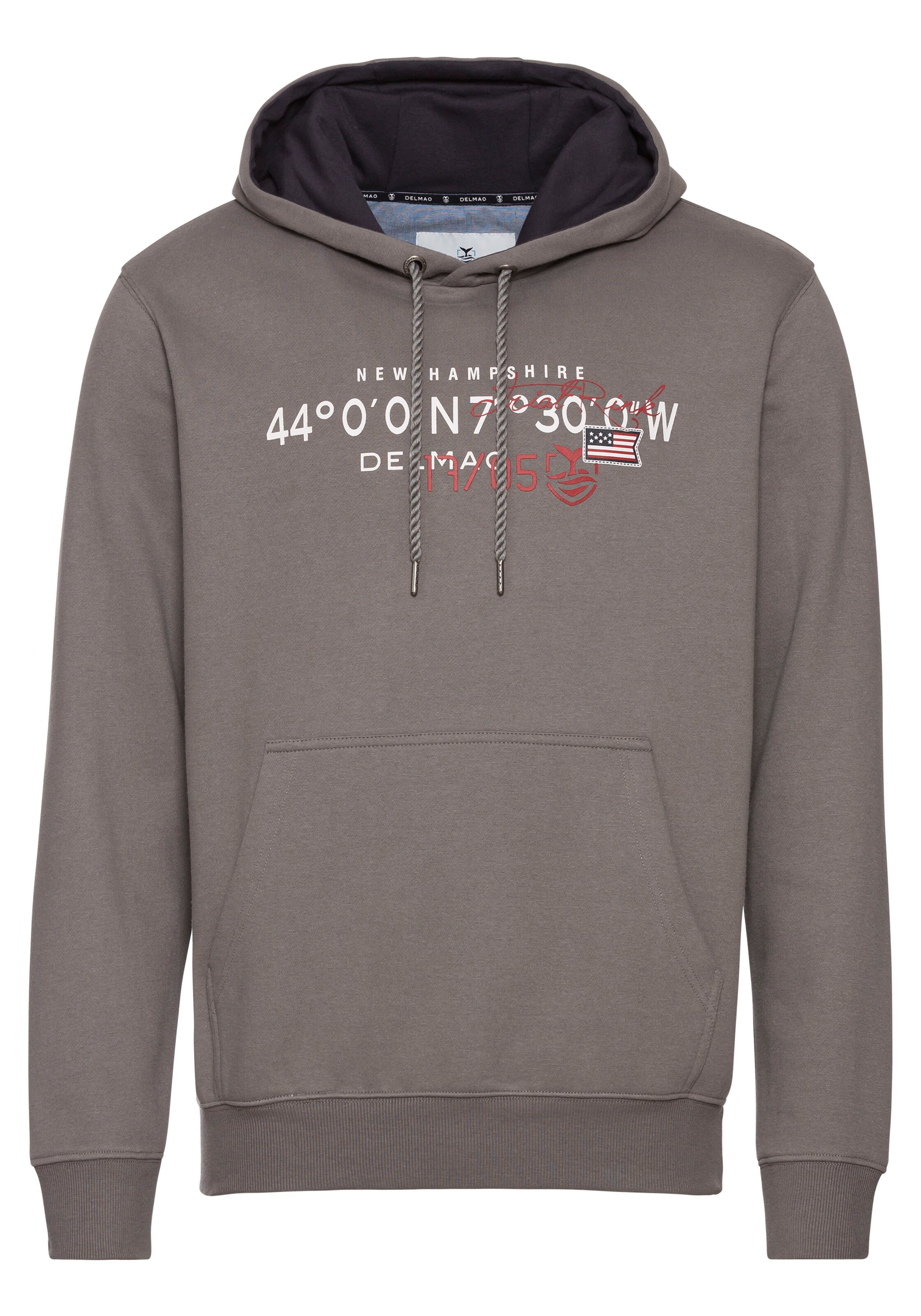 DELMAO Sweatshirt in Grau: Vorderseite