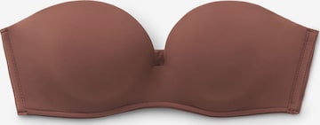 Tezenis Bra in Brown: front