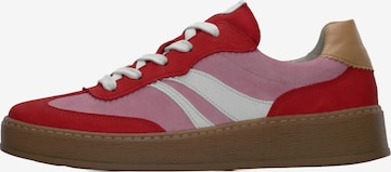 Baskets basses GABOR en rouge : devant