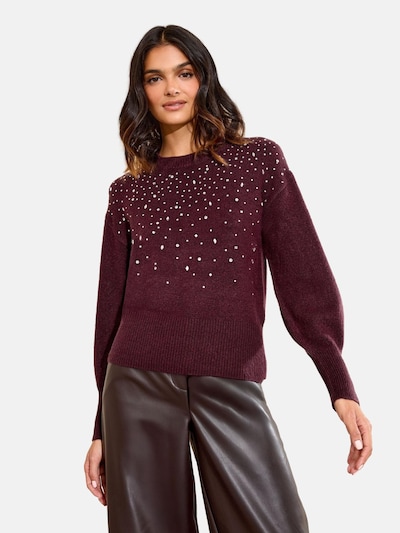 Pullover Friends Like These di colore borgogna, Visualizzazione prodotti