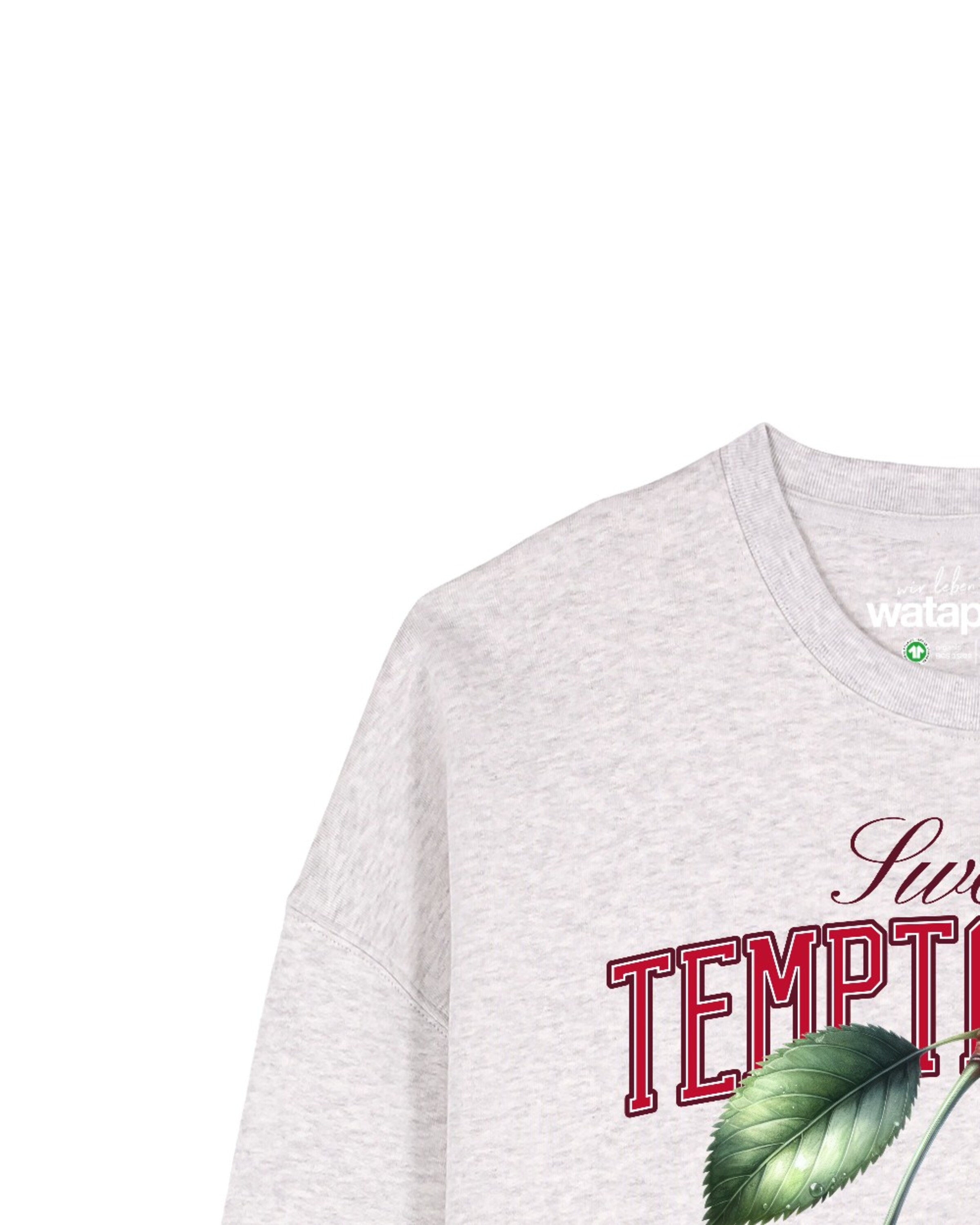 Sweat-shirt 'Sweet Temptations' Watapparel en gris