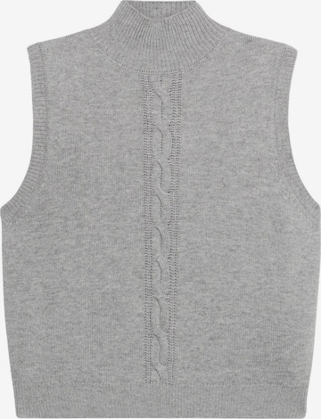 Pull-over oltre en gris : devant