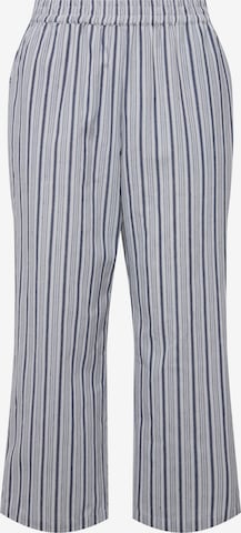 Ulla Popken Regular Pants in Mixed colors: front