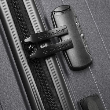 Saxoline Trolley 'Fiesta' in Grau
