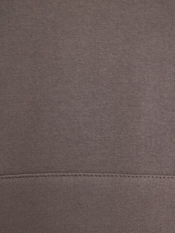 Mavi Sweatshirt in Grey