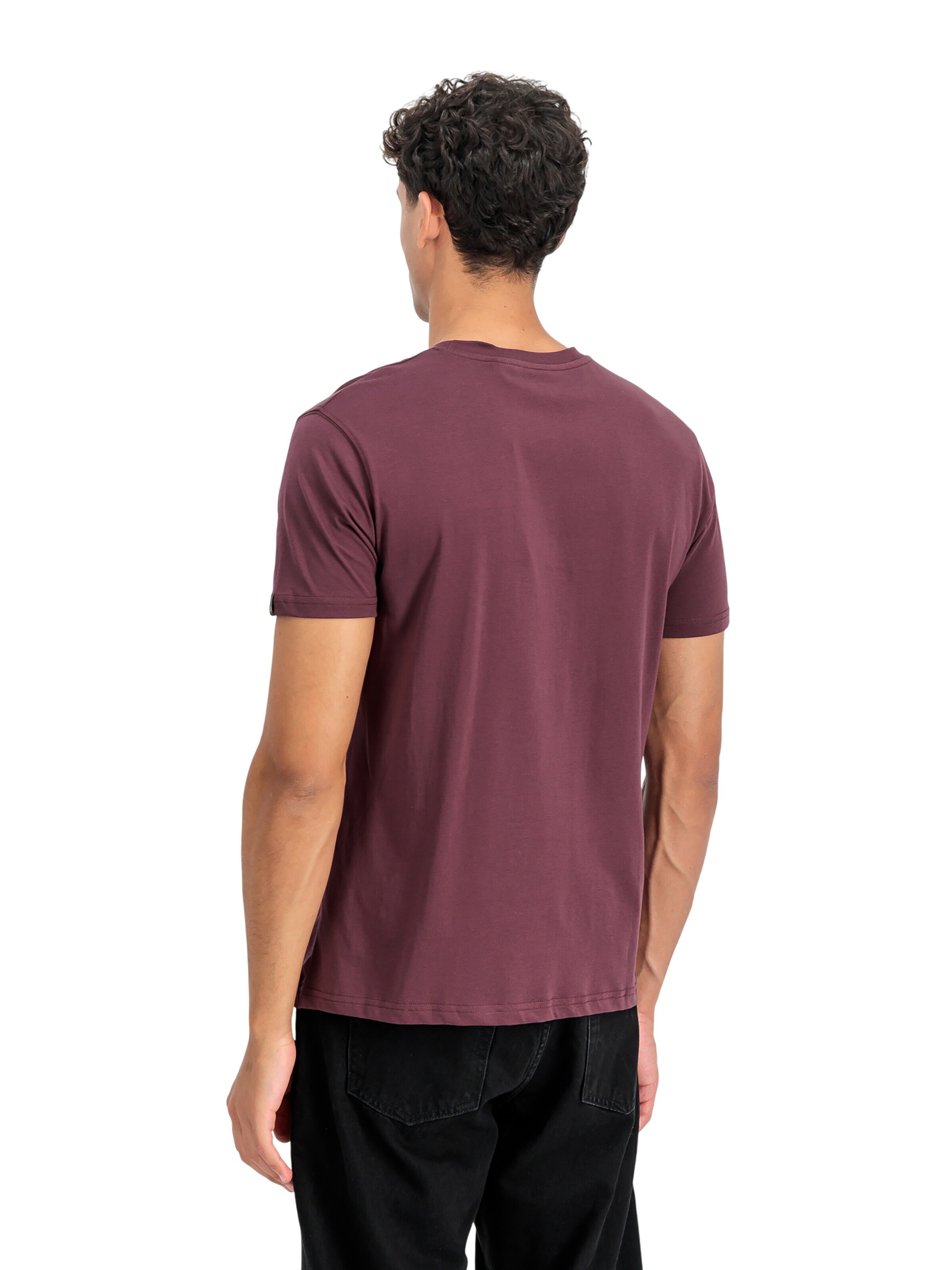 ALPHA INDUSTRIES Regular fit Shirt 'Basic Small Logo' in Red