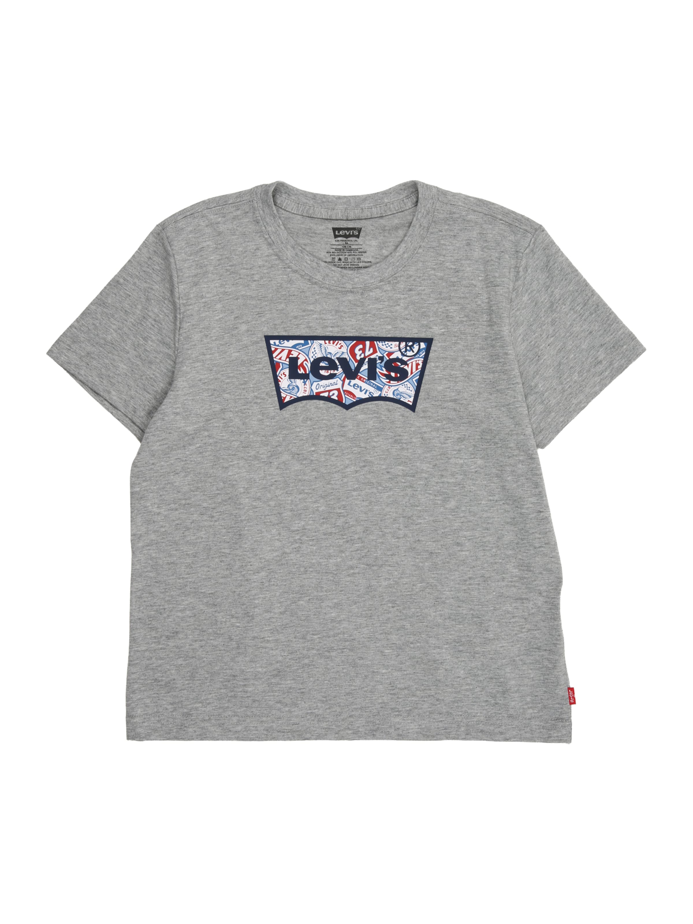 Tricou 'ON THE ROAD' de la Levi's Kids pe gri: față