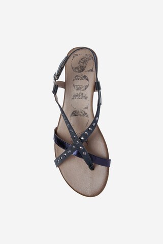 Soccx T-Bar Sandals in Blue