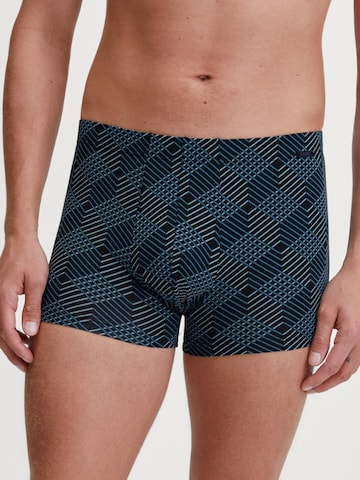 CALIDA Boxershorts 'Grafic Cotton'‌‌‌ in Schwarz