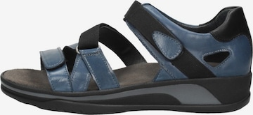 Sandales 'Desh' Wolky en bleu : devant