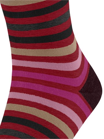 FALKE Socks 'Tinted Stripe' in Red