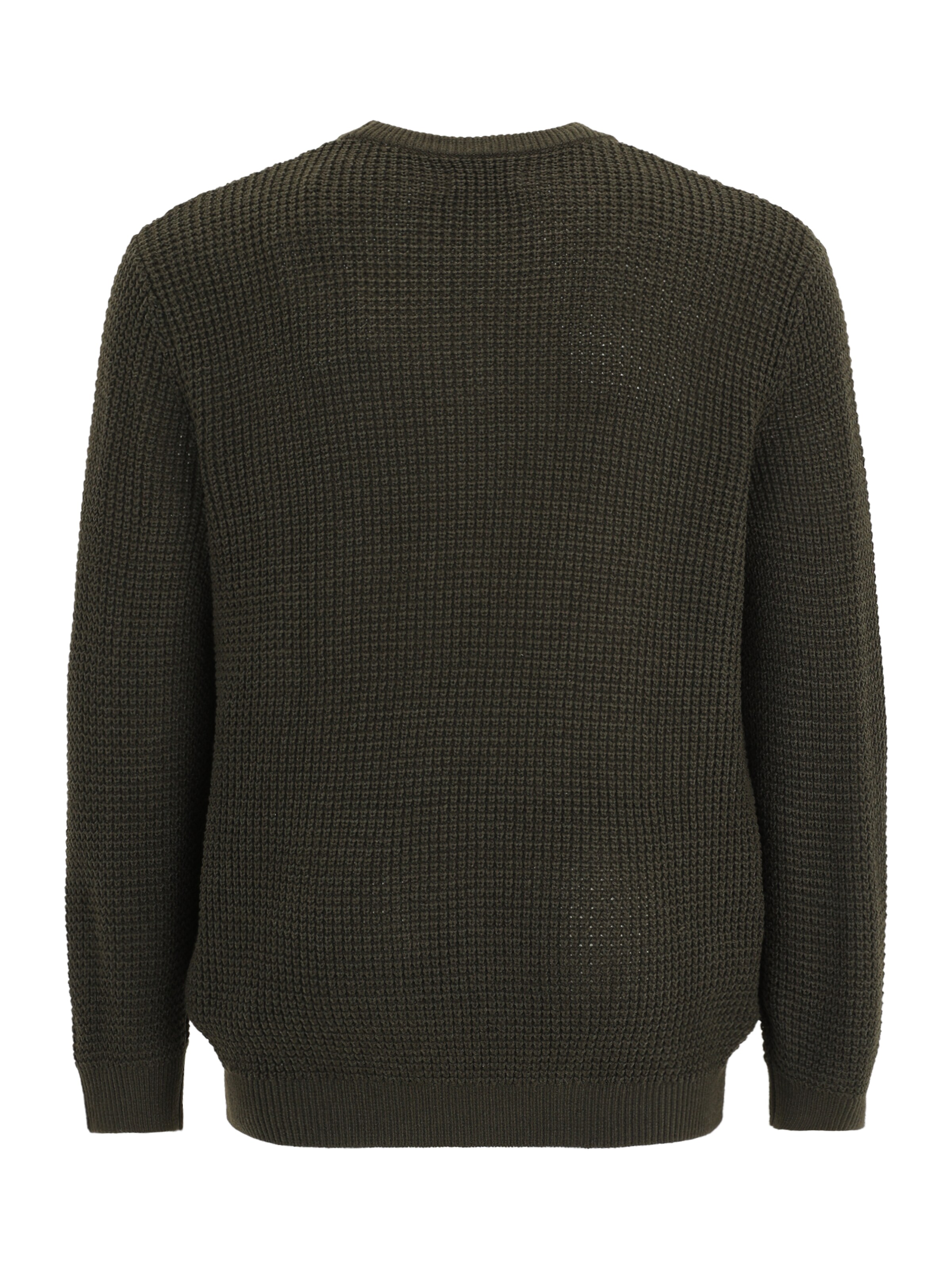 Jack & Jones Plus Pullover 'JJGLOBAL' in Grün