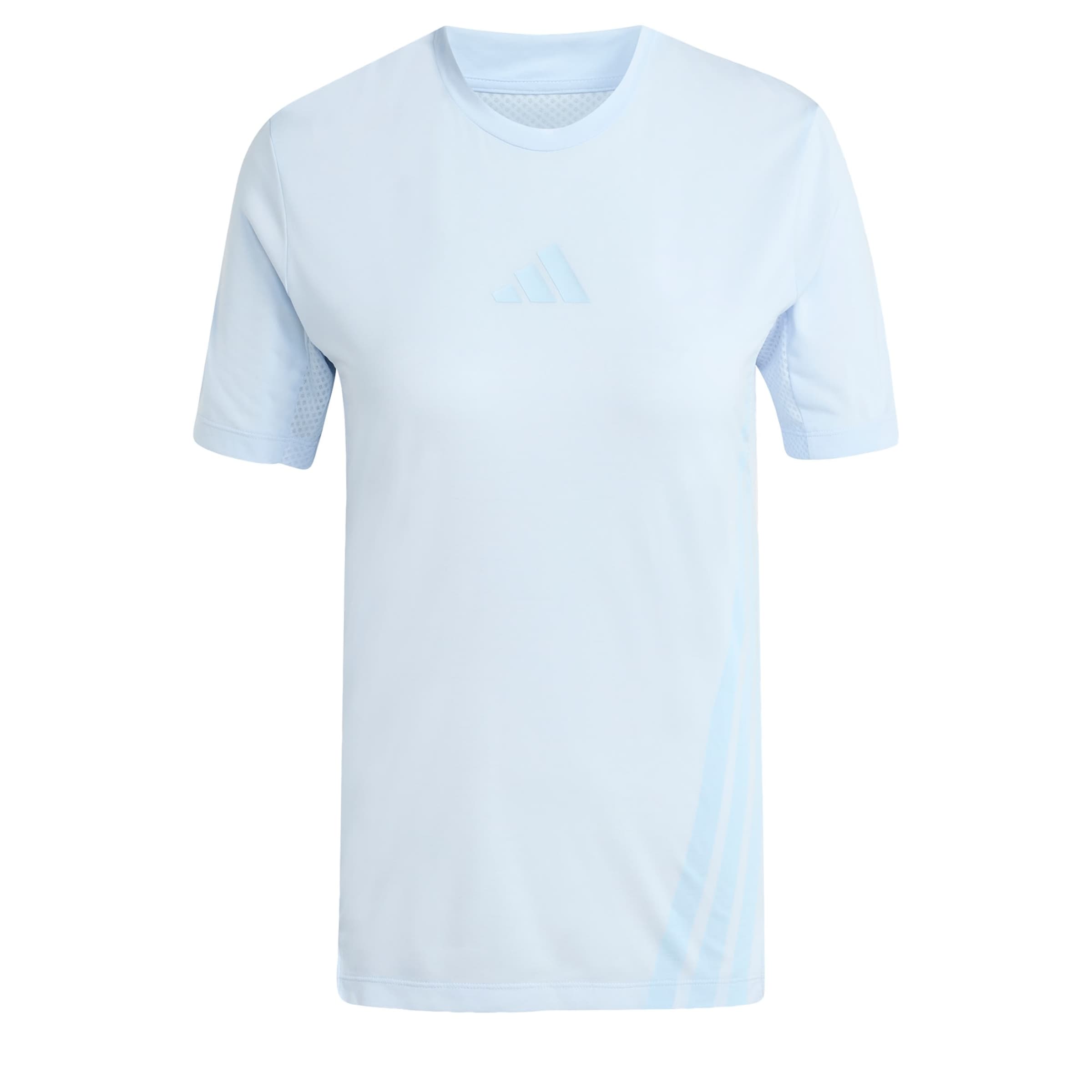 ADIDAS TERREX - Camisa funcionais 'Xperior' em azul: frente